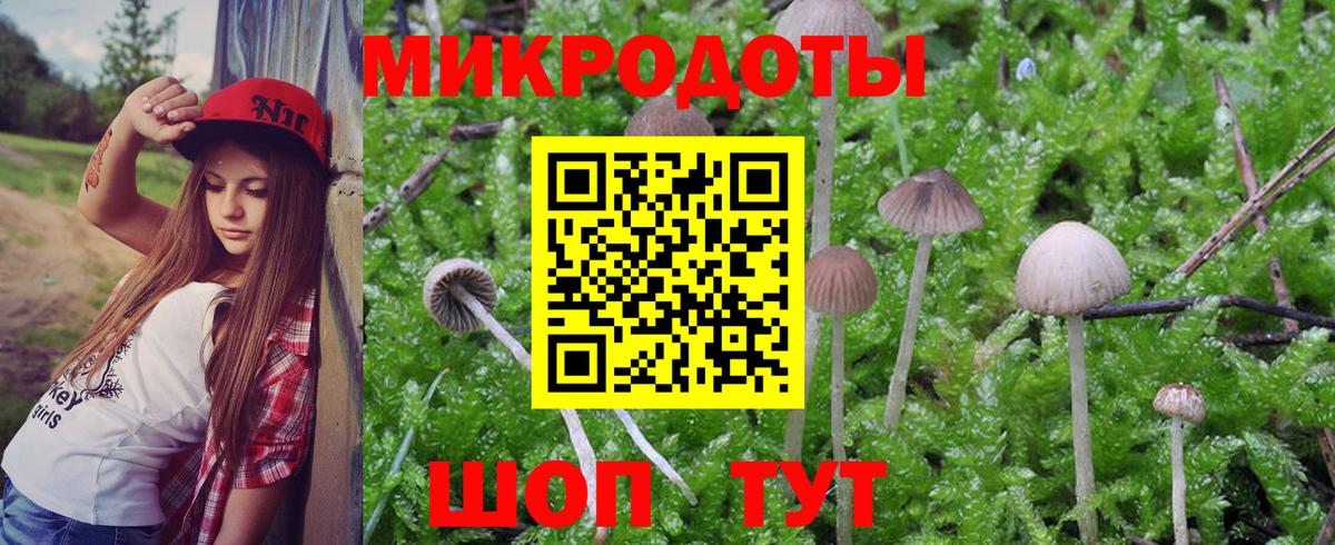 Галлюциногенные грибы GOLDEN TEACHER  Вход с VPN  Надым 